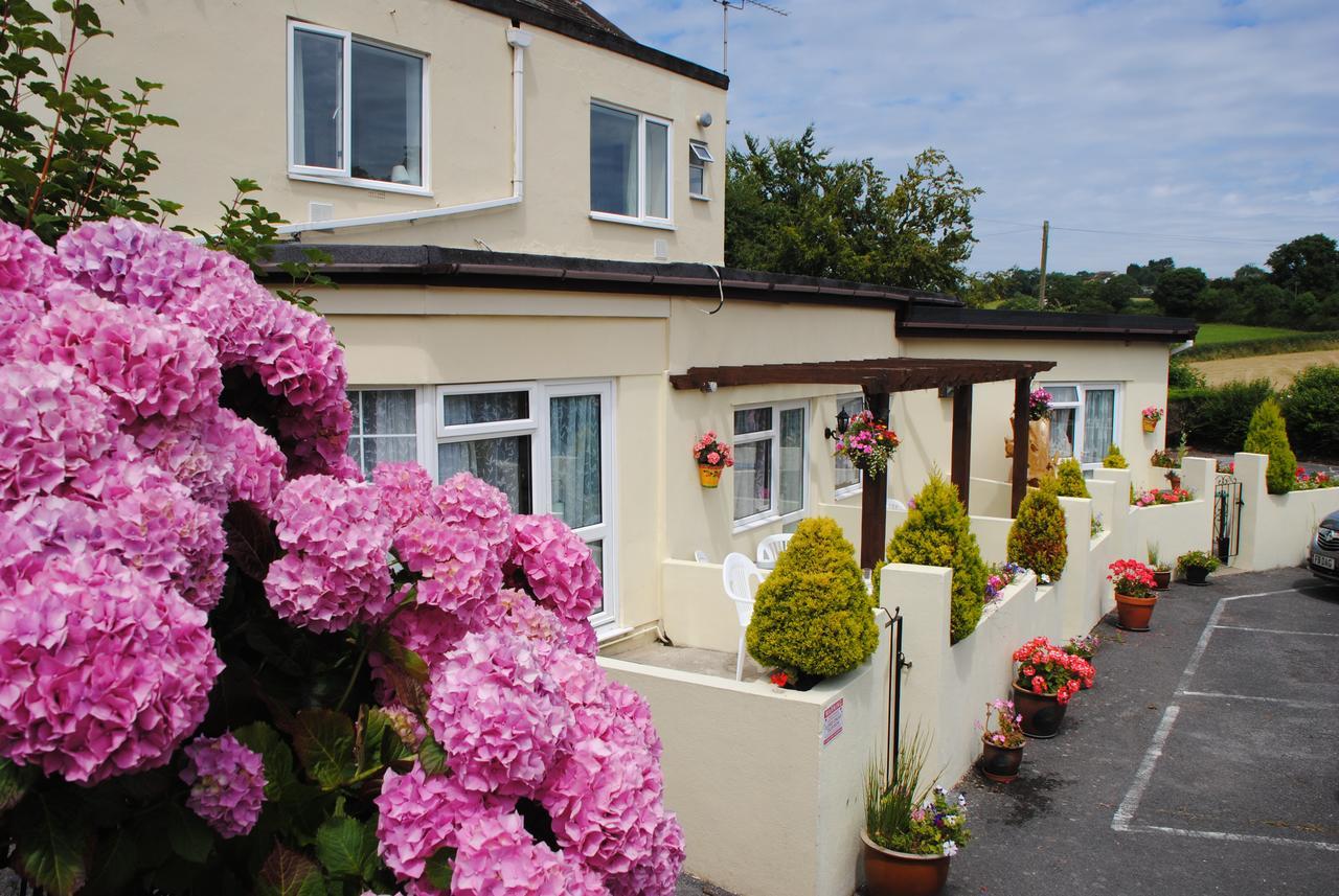 Huccaby Tor Apartmernt Torquay Ngoại thất bức ảnh